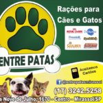 anuncio mc correto