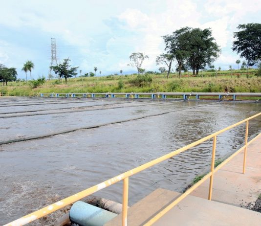 Sanessol alerta população sobre redes cruzadas