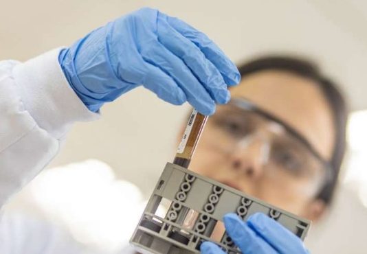 Cientistas de SP estão desenvolvendo vacina contra novo coronavírus