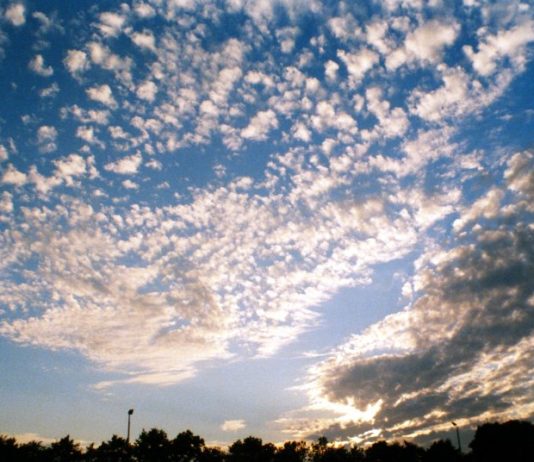Semana deve ter temperatura amena e pouca chance de chuva