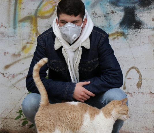 Entre Patas reforça que animais não transmitem COVID-19 para humanos