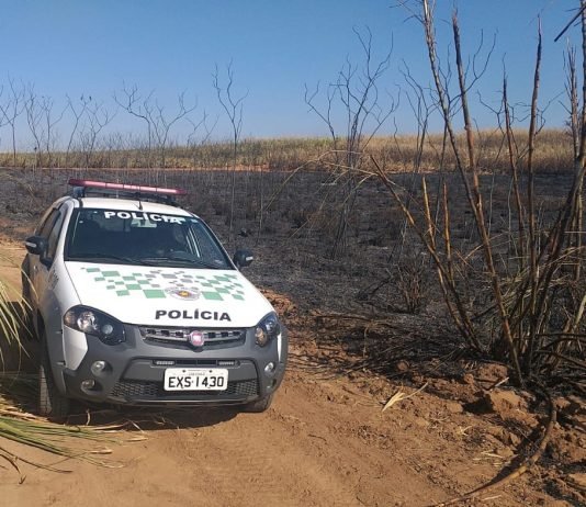 Empresa é autuada após incêndio atingir mais de 268 hectares em Guapiaçu