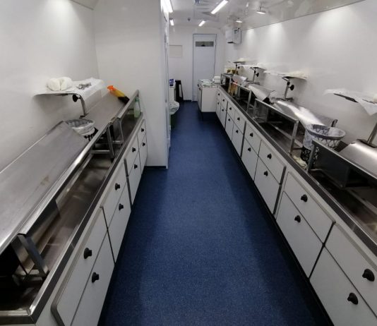 Castração de cães e gatos tem início nesta quarta no Recinto Municipal