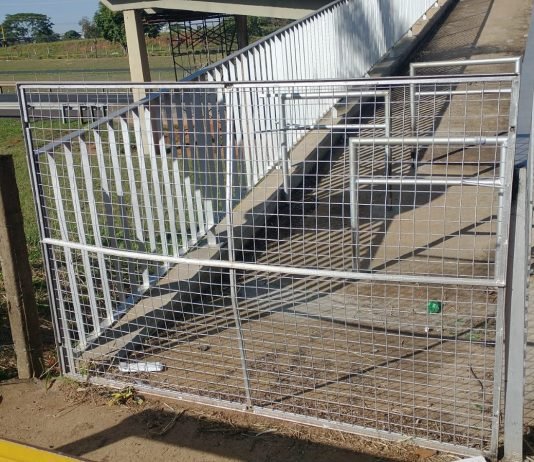 Passarela na rodovia segue parcialmente interditada seis meses após acidente