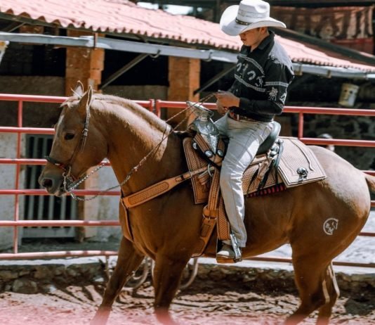Sindicato Rural abre inscrições para curso gratuito de Equitação Básica