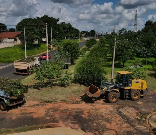 Tempestade derrubou cerca de 30 árvores em Mirassol