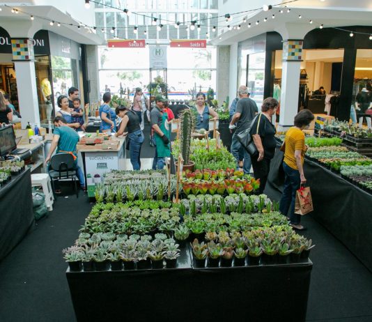 Riopreto Shopping Center sedia exposição com mais de 300 espécies de suculentas e cactos