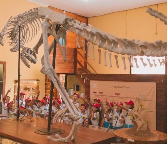 Alunos de Mirassol visitam Museu de Paleontologia em Uchoa