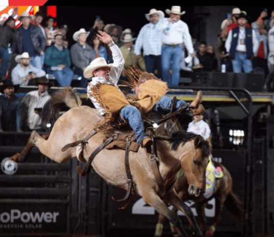Peão de Mirassol conquista o título de campeão na modalidade cutiano no Rodeio de Barretos