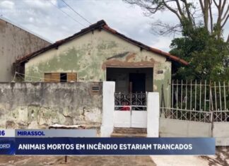Grupo “Bicho não é Lixo” registra ocorrência após incêndio em residência que teria causado a morte de animais em Mirassol
