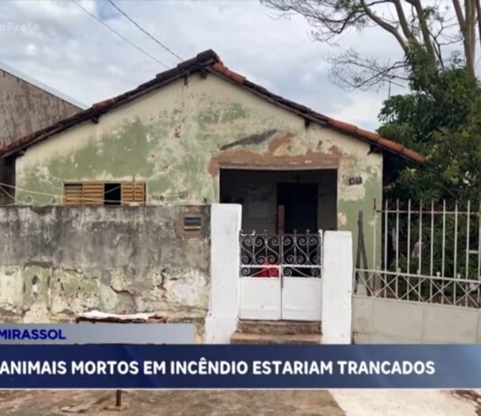 Grupo “Bicho não é Lixo” registra ocorrência após incêndio em residência que teria causado a morte de animais em Mirassol