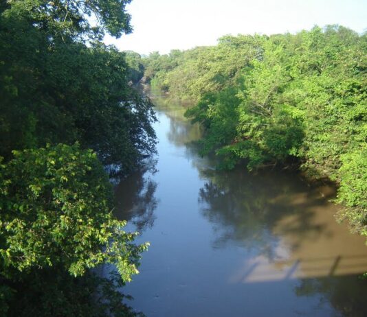 Dia dos Rios: Sanessol reforça importância do saneamento para a preservação dos cursos d´água