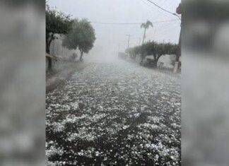 Morador de Mirassol mobiliza campanha para ajudar vítimas de chuva de granizo em Palmeira d’Oeste