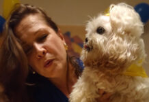 Tutora lança campanha de arrecadação para ajudar animais em homenagem à sua cachorrinha que completaria 16 anos