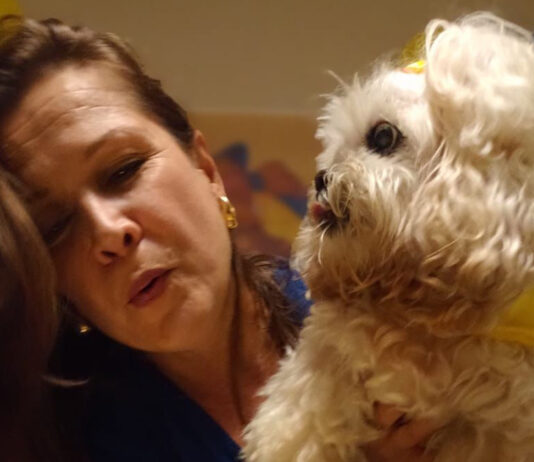 Tutora lança campanha de arrecadação para ajudar animais em homenagem à sua cachorrinha que completaria 16 anos