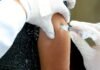 Campanha de multivacinação começa em Mirassol para atualizar caderneta de crianças e adolescentes